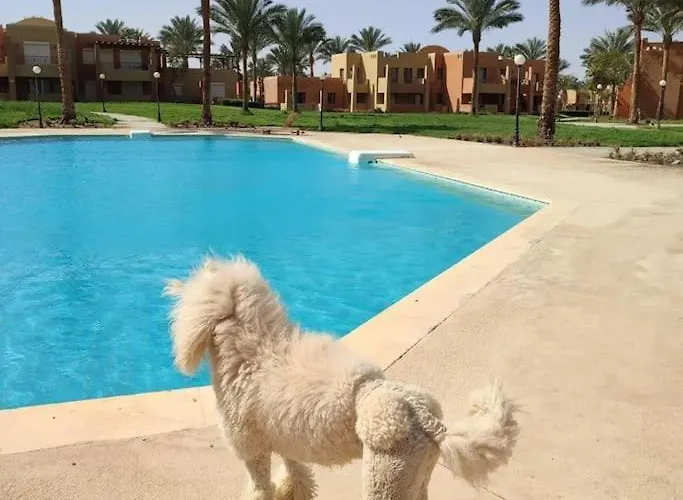 Stella De Mari In Makadi With And Pool View